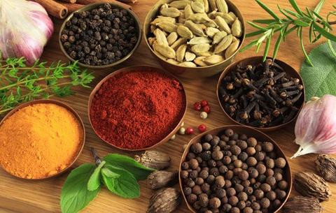 Twenty First Century Herbs