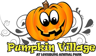 Pumpkin Village Coupons and Promo Code