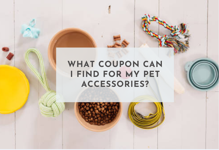 What Coupon Can I Find for My Pet Accessories?