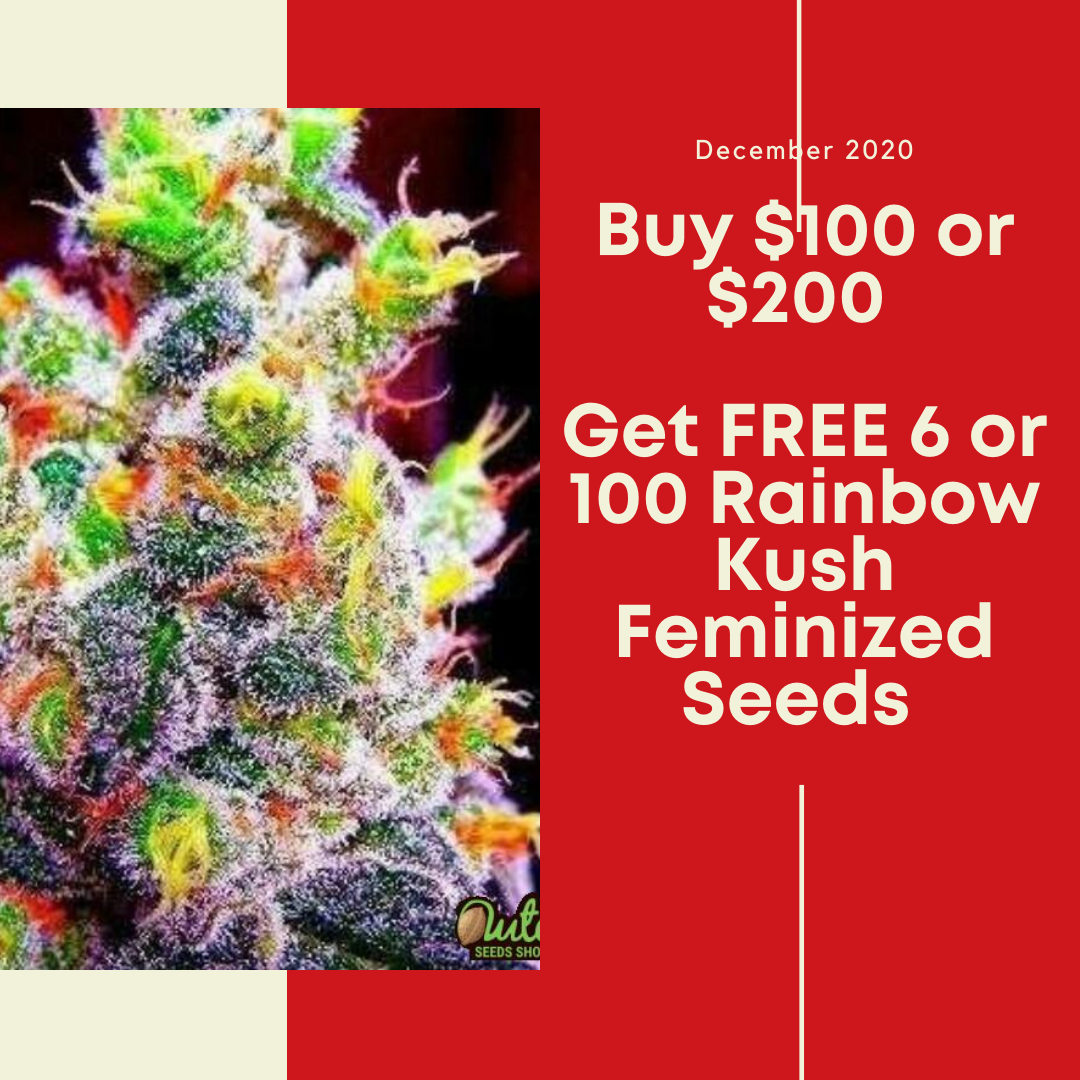 Dutch Seeds Shop Coupons and Promo Code