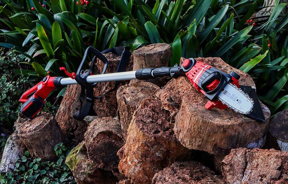 Maximize Tree Health: Fall & Winter Tree Trimming and the Best Pole Saws to Use