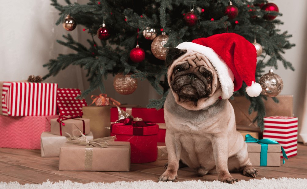 Holiday Cheer with 20+ Dog-Themed Christmas Décor You’ll Adore