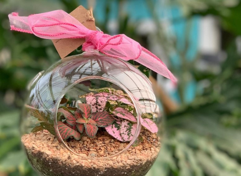 Charming & Easy Valentine Terrarium Ideas for Gifts & Décor