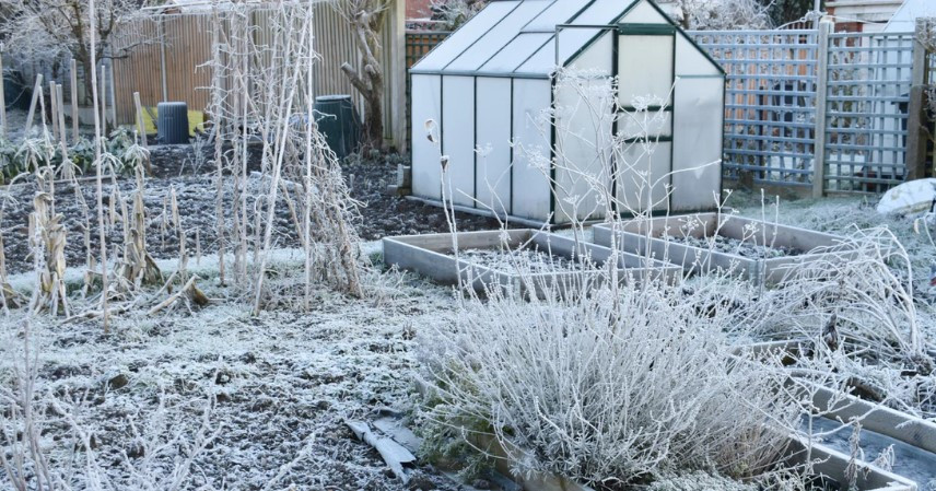 70+ Winter Greenhouse Designs for a Lush and Inviting Cold-Season Oasis