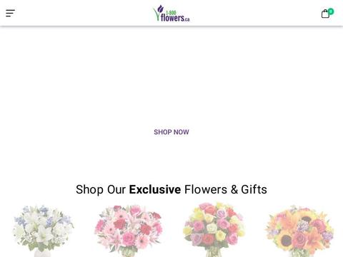 1-800-Flowers CA Coupons and Promo Code