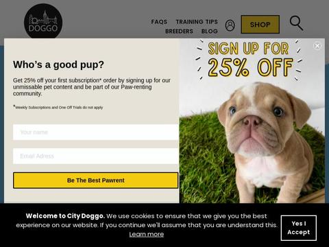 CityDoggo Coupons and Promo Code