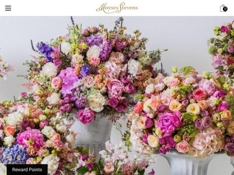 Moyses Stevens Flowers Coupons and Promo Code