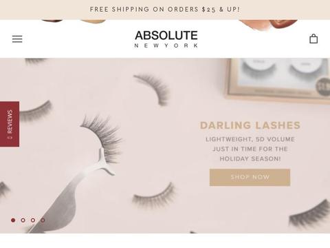 Absolutenewyork.com Coupons and Promo Code