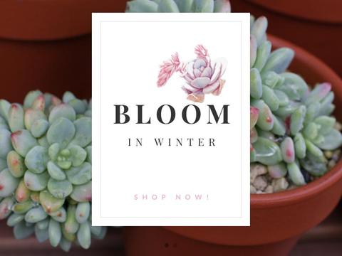 Muzi Succulent Coupons and Promo Code