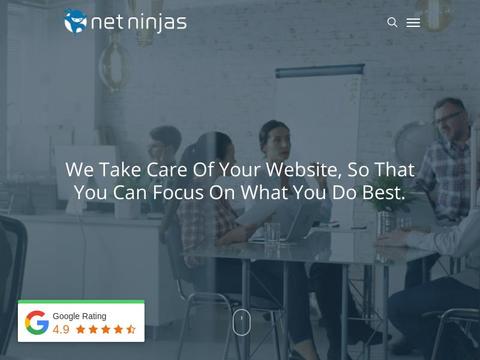 Net Ninjas Coupons and Promo Code